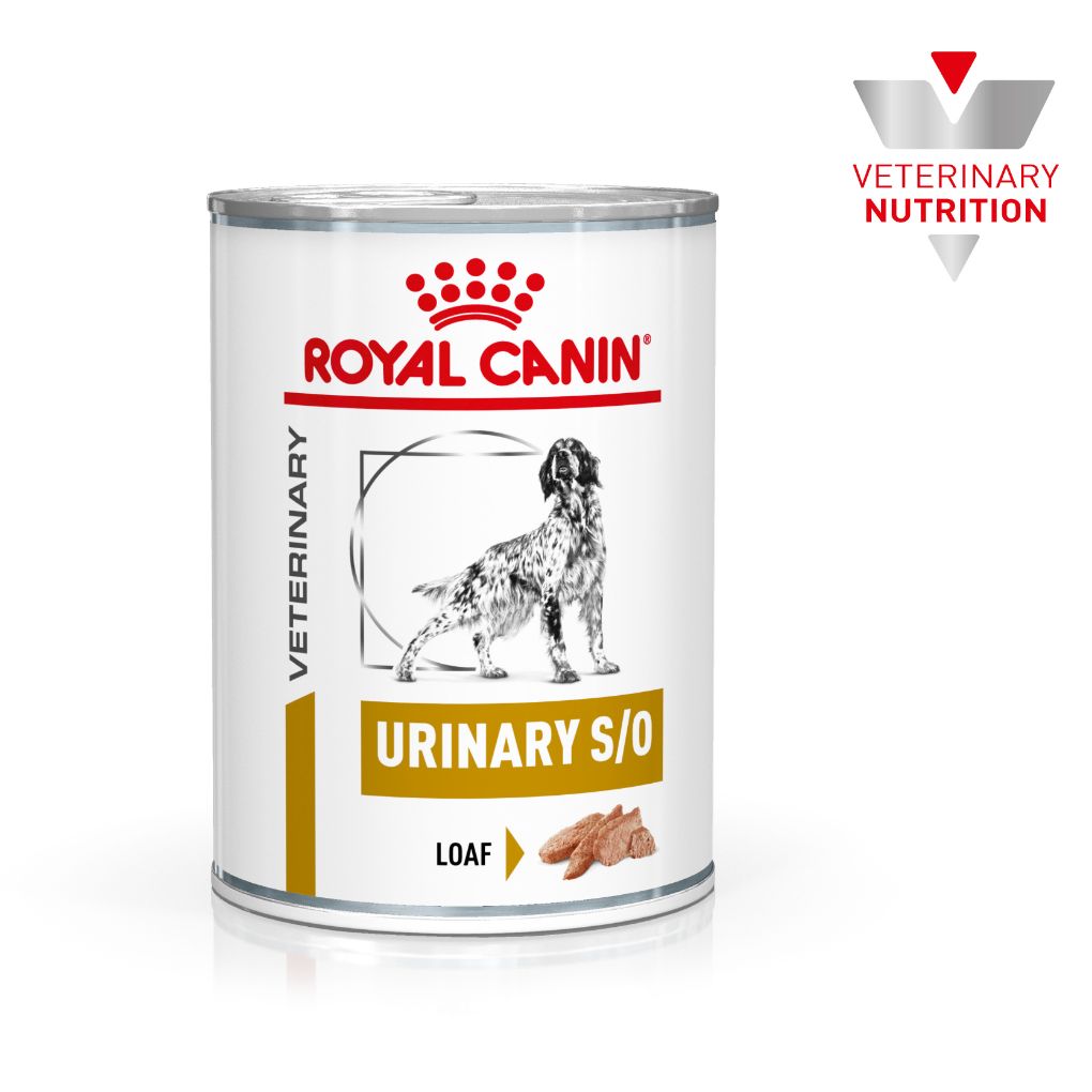 Royal Canin Veterinary Diet Urinary S O Can RSPCA VIC