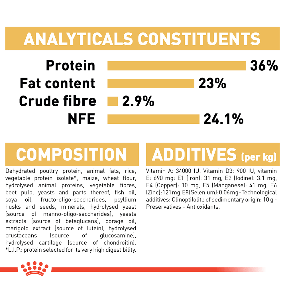Royal Canin Maine Coon Kitten - RSPCA VIC