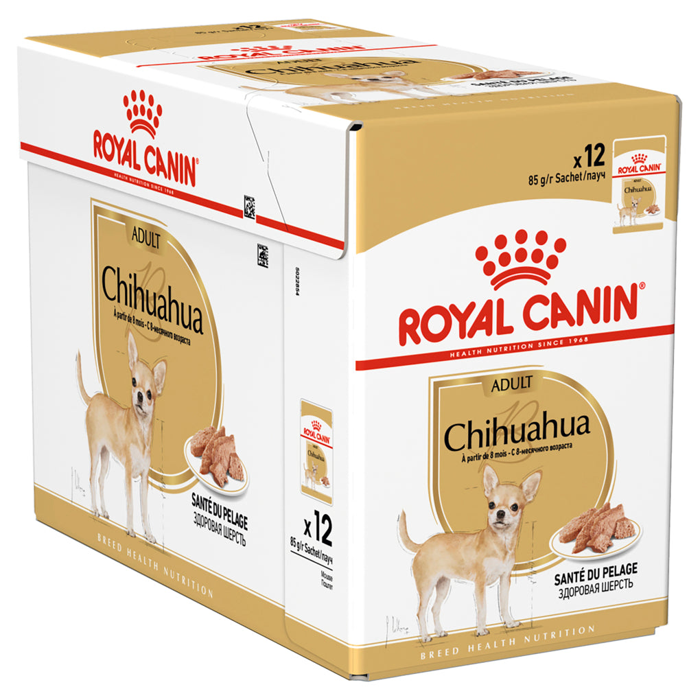 Chihuahua adult royal clearance canin