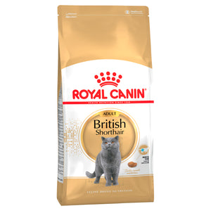 Royal Canin British Shorthair - RSPCA VIC