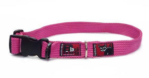 Black Dog Wear Standard Collar Large - RSPCA VIC