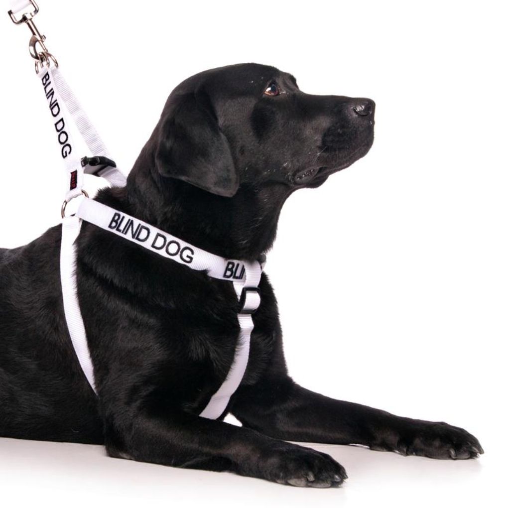 Friendly Dog Collars – BLIND DOG - L/XL adjustable Strap Harness - RSPCA VIC