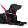 Friendly Dog Collars - CAUTION - L/XXL adjustable Strap Harness - RSPCA VIC