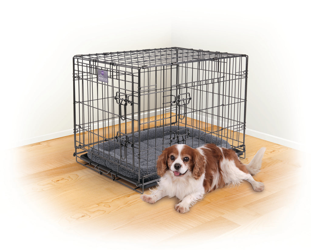 Large dog best sale crate rural king