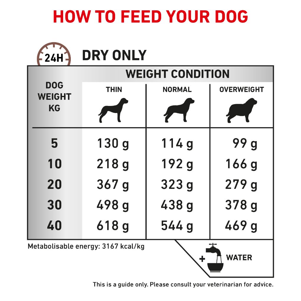 Royal canin gastrointestinal low fat shop feeding guide