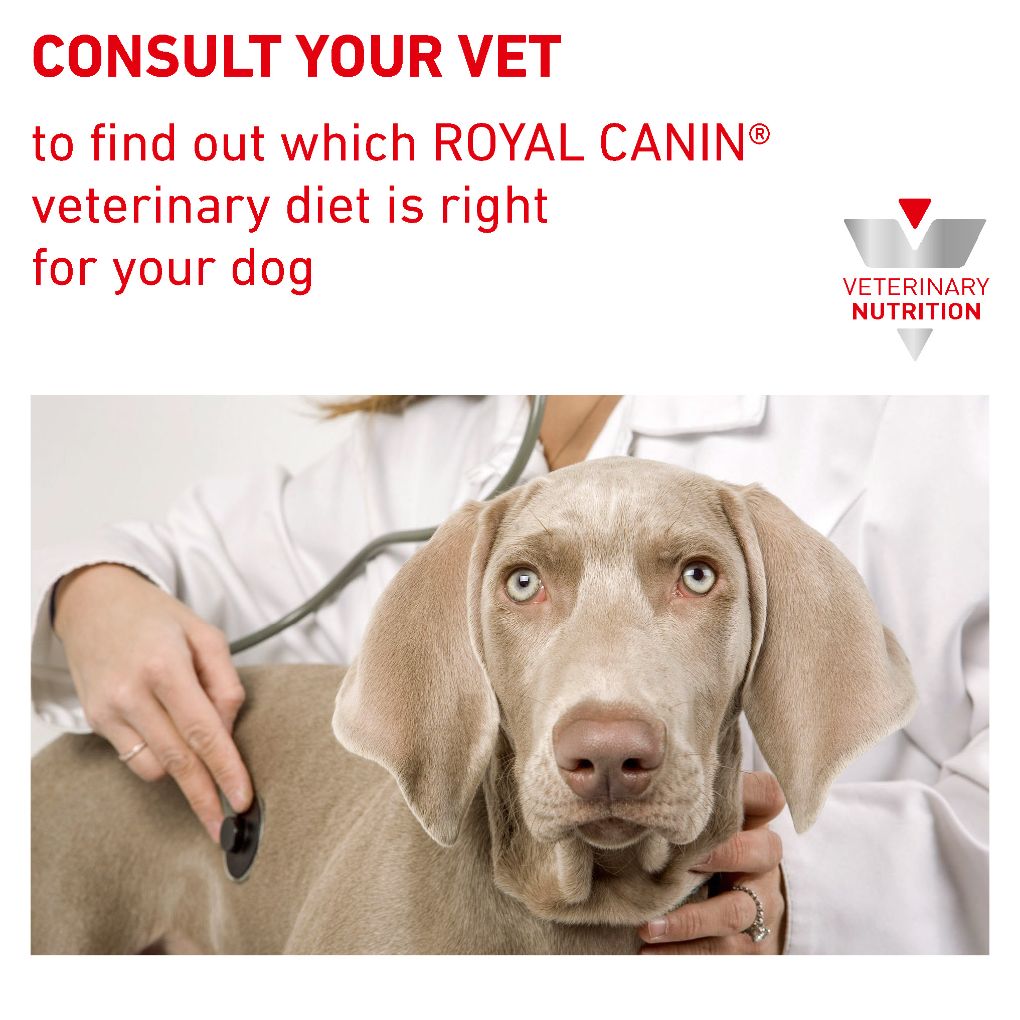 Convalescence support royal stores canin veterinary diet