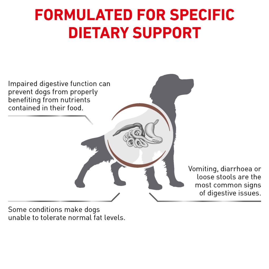 Royal Canin Veterinary Diet Gastrointestinal Low Fat RSPCA VIC