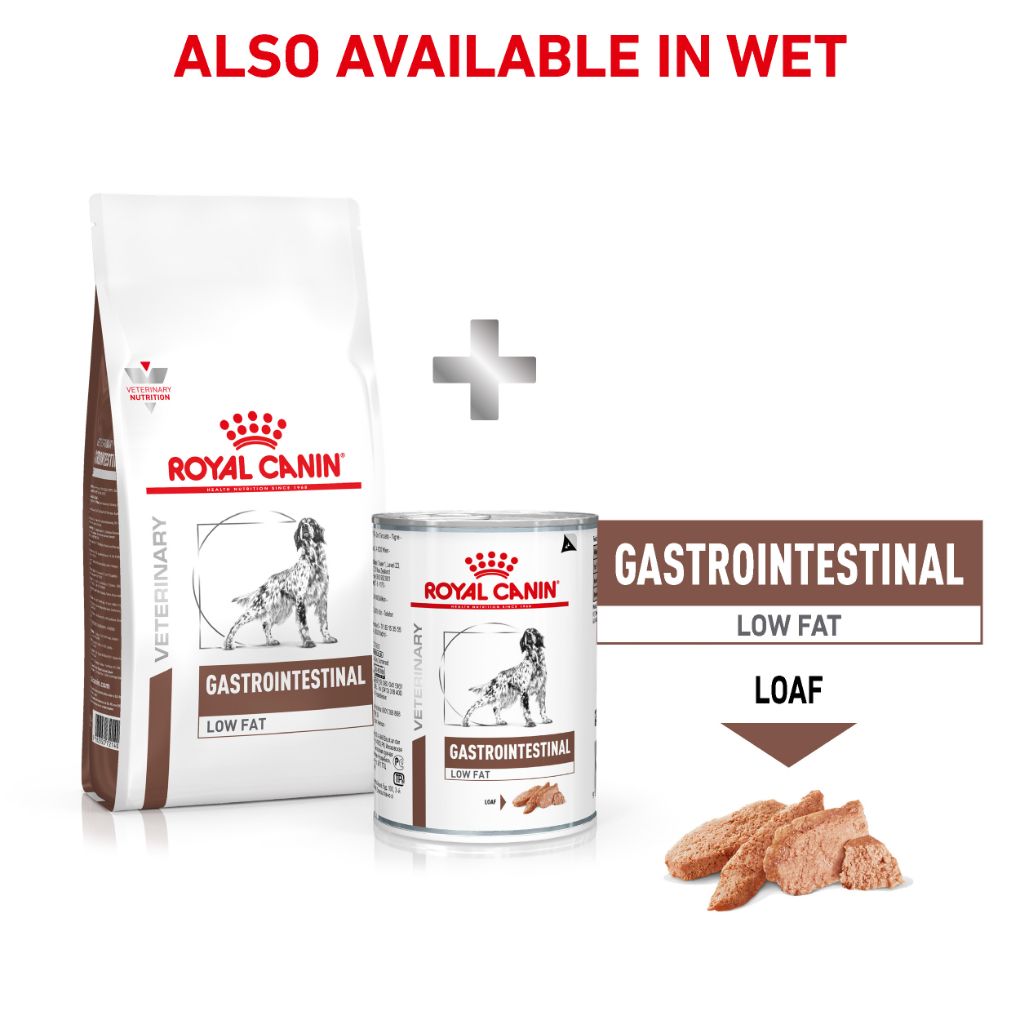 Intestinal low fat royal canin hotsell