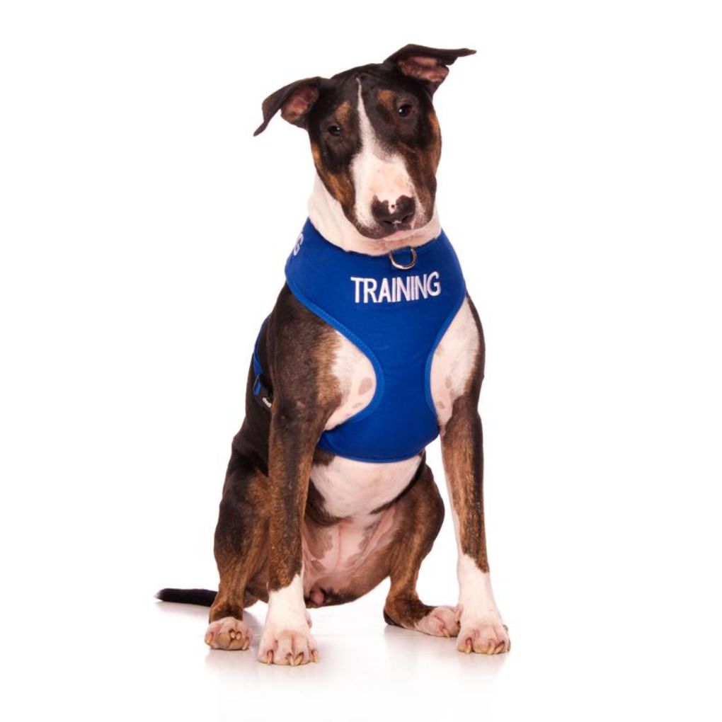 Friendly Dog Collars - Adjustable Vest Harness - RSPCA VIC