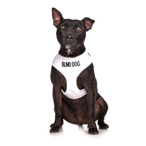 Friendly Dog Collars – BLIND DOG - Adjustable Vest Harness - RSPCA VIC