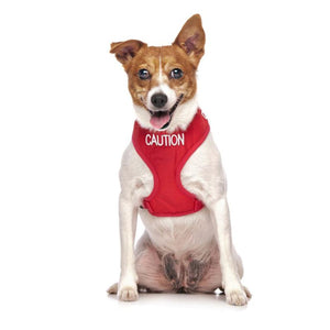 Friendly Dog Collars - CAUTION Adjustable Vest Harness - RSPCA VIC
