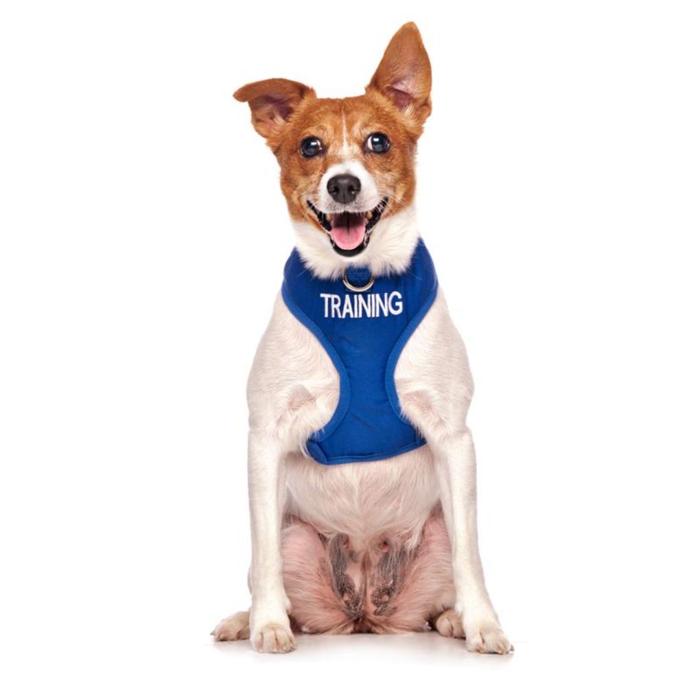 Friendly Dog Collars - Adjustable Vest Harness - RSPCA VIC