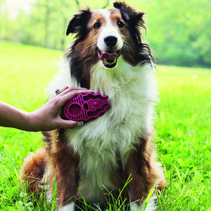 KONG Zoom Groom Raspberry - RSPCA VIC