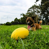 Aussie Dog Durapro Football Yellow - RSPCA VIC