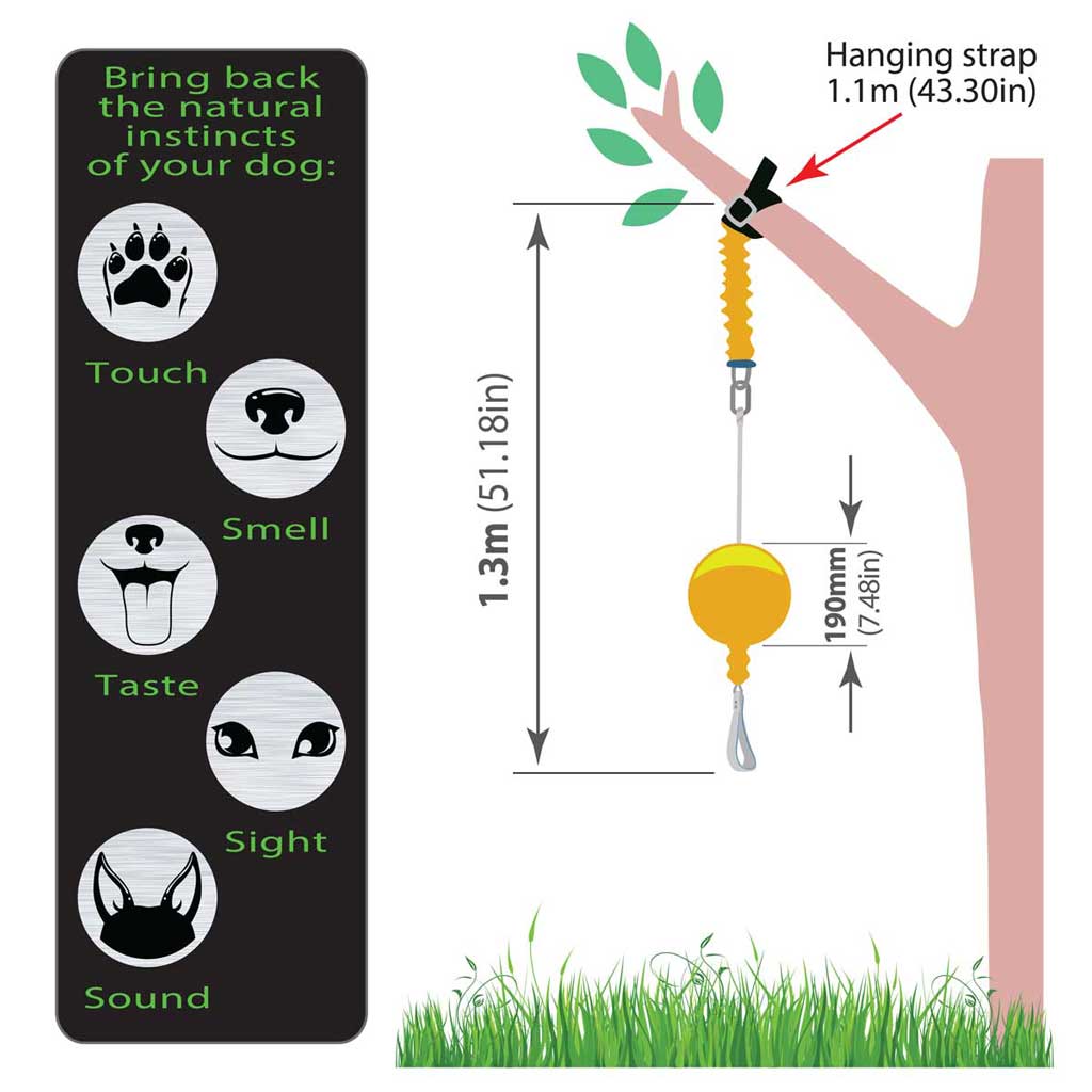 aussie dog home alone extra large - rspca vic