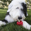 KONG Stuff&#39;N Ziggies Chicken Flavoured Dog Treats Small - RSPCA VIC