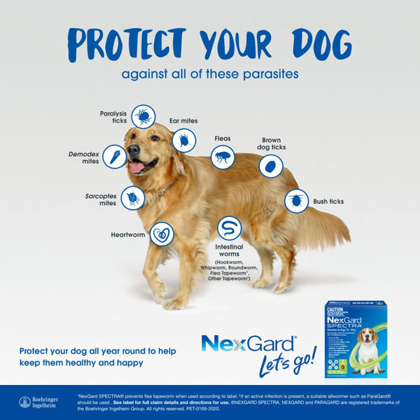 NexGard SPECTRA®  Flea, Tick, Mite, Intestinal Worm Treatment