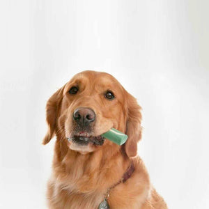 Oravet Dental Hygiene Chews for Medium Dogs  28 Count/Days Supply - RSPCA VIC